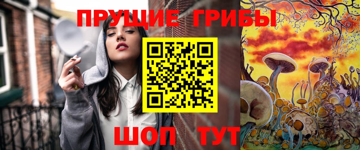 Псилоцибиновые грибы Psilocybe Верхняя Салда
